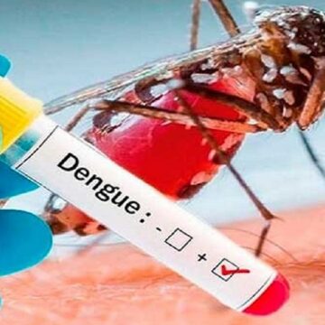 Investigadores alertan aumento de casos de dengue durante la pandemia